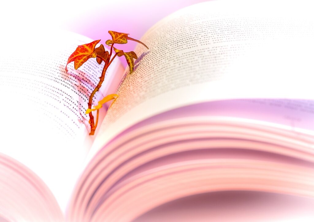 Book Review Fight Club | Chuck Palahniuk