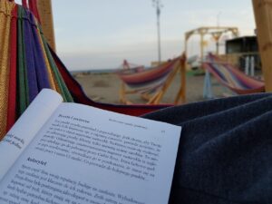 Book Review The Great Gatsby