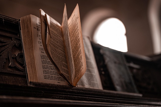 Book Review The Housemaid’s Secret