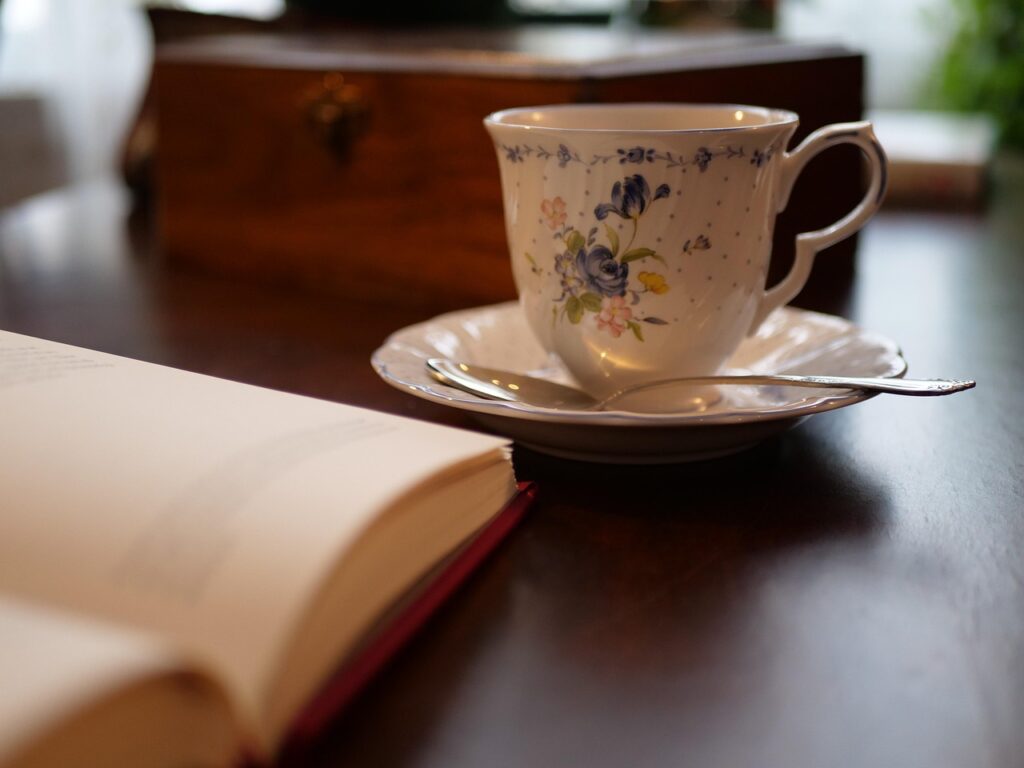 Book Review The Frozen River | Ariel Lawhon