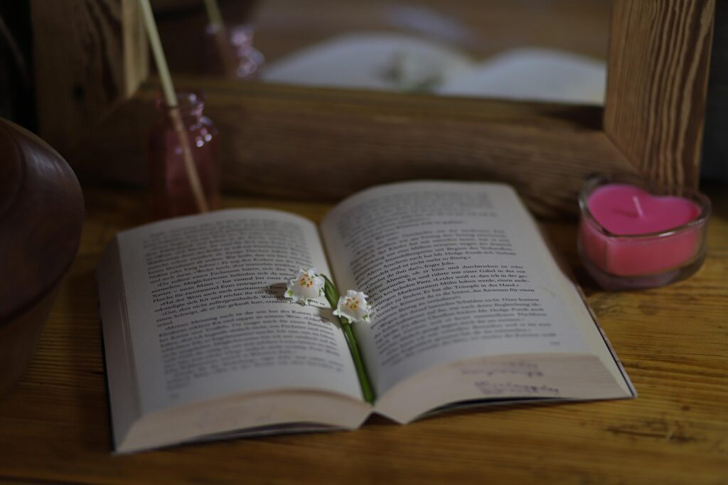 Book Review American Dirt | Jeanine Cummins