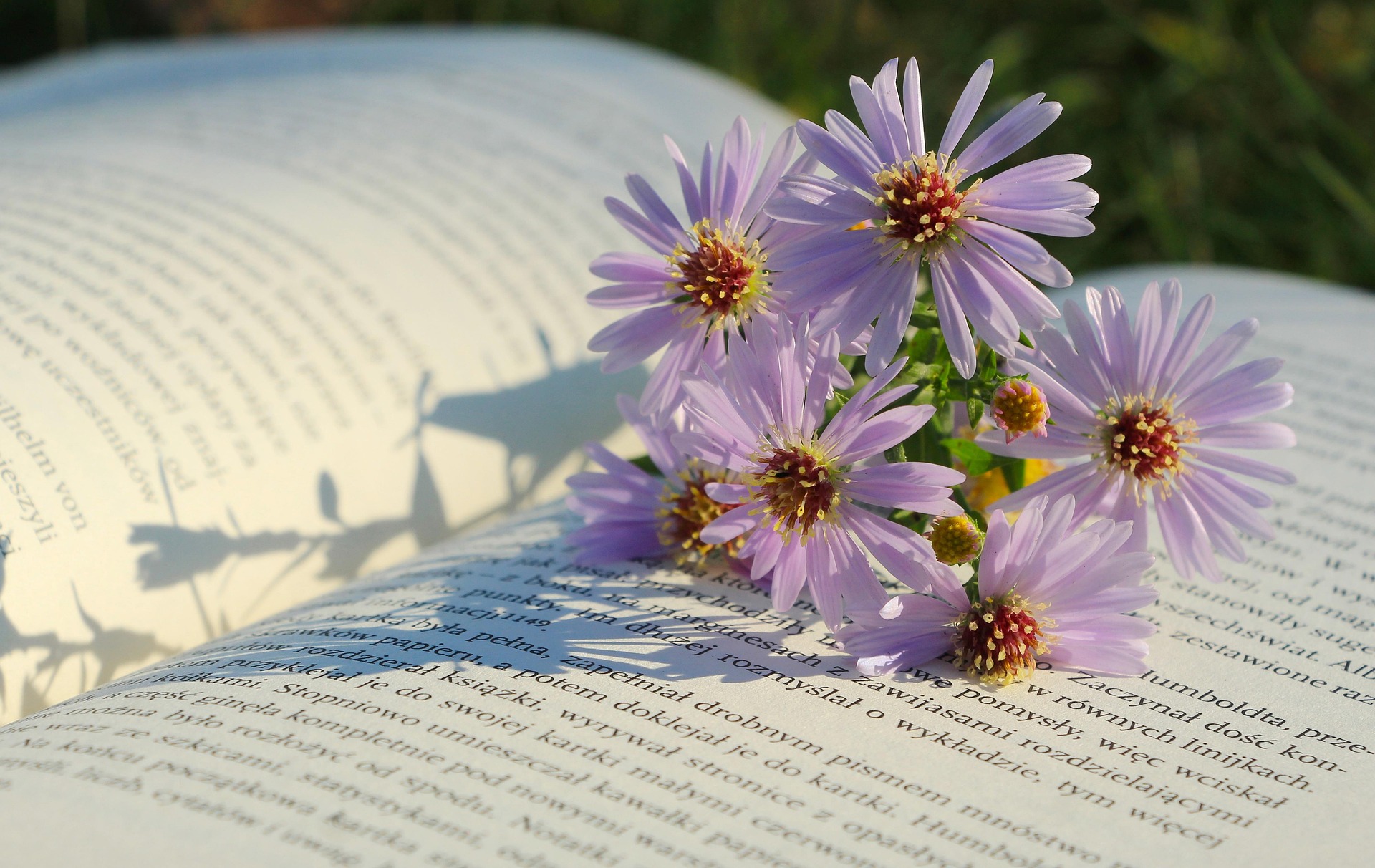key lessons from mindset book review success psychology summary