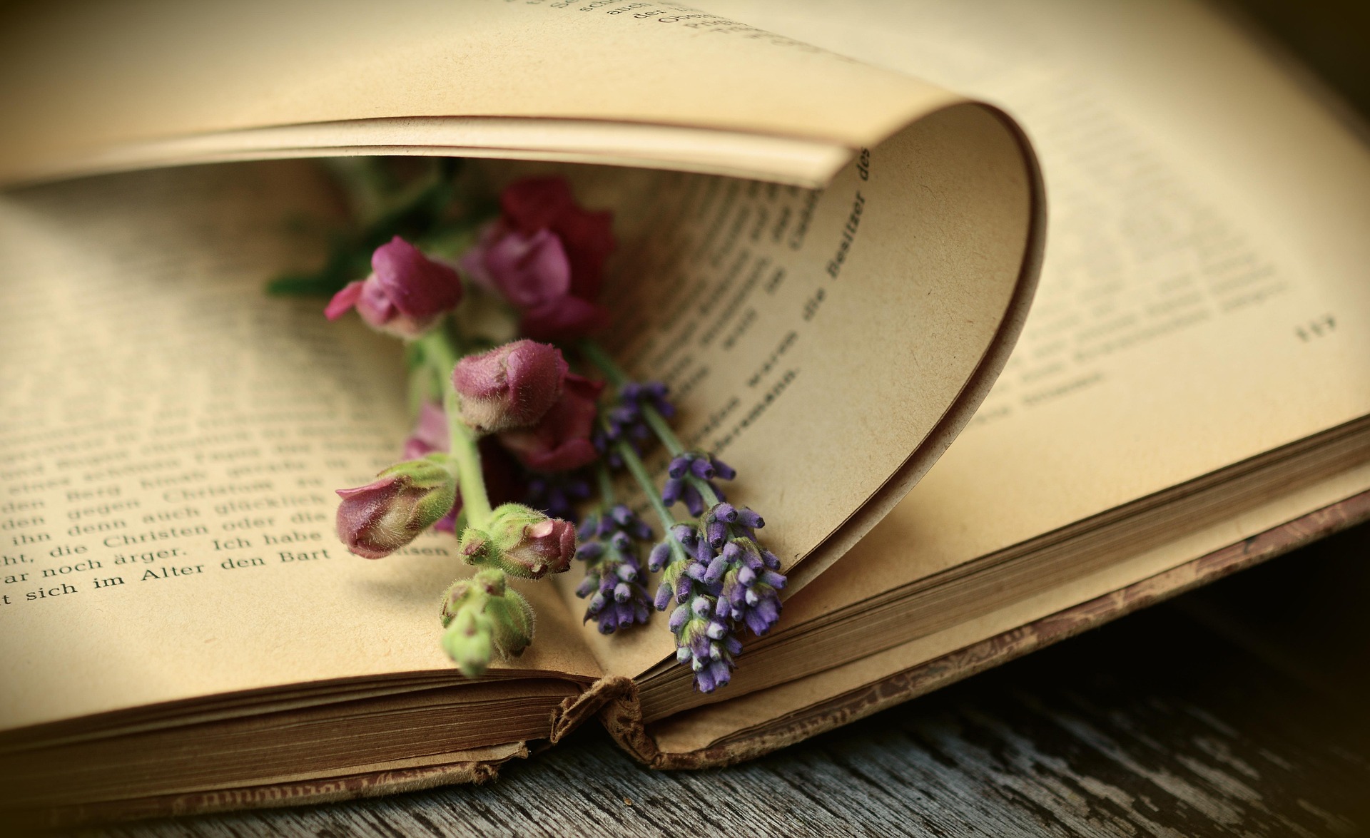 lessons from 101 Essays That Will Change the Way You Think personal growth review