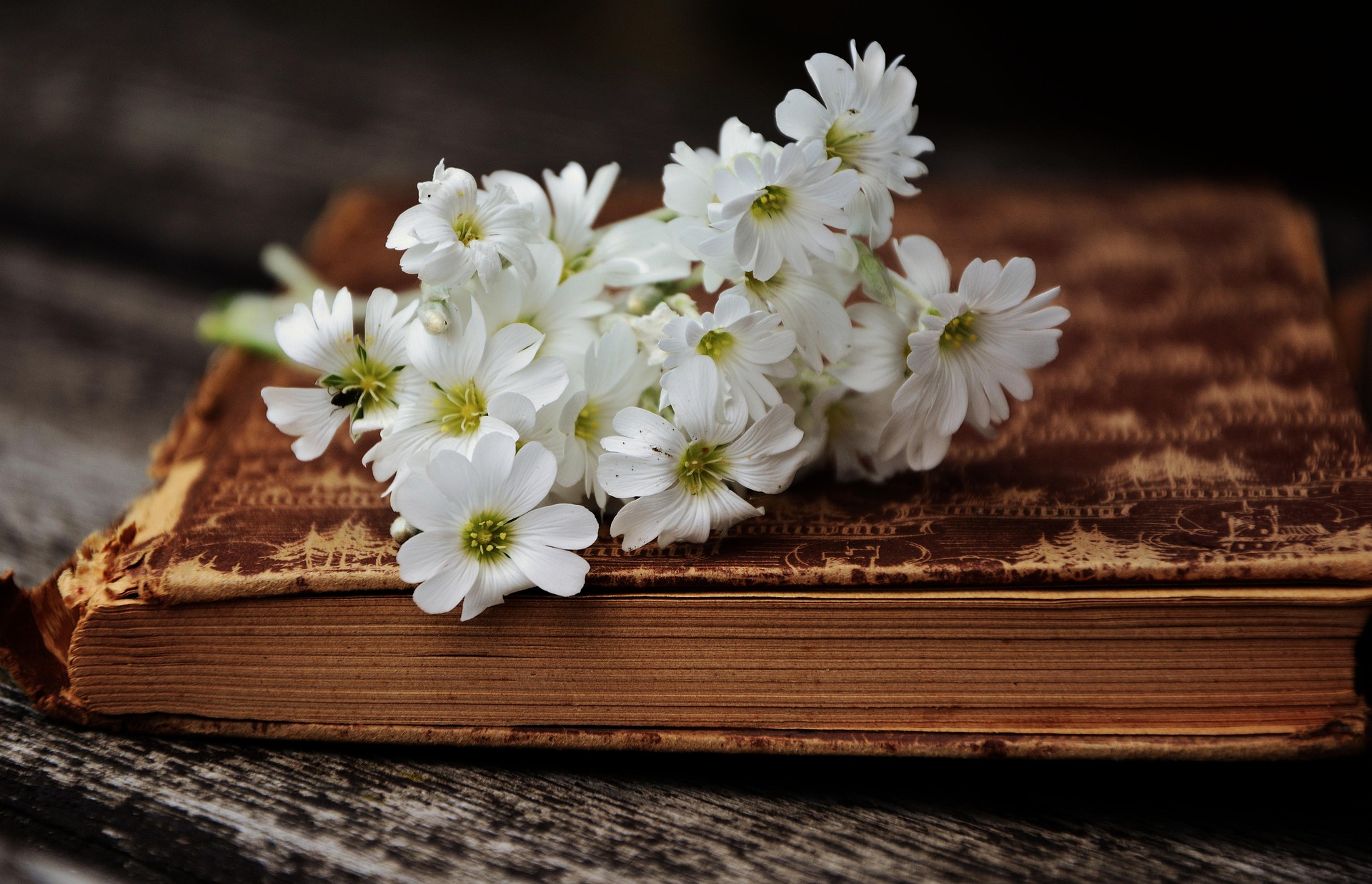 Make Your Bed motivational quotes from book review
