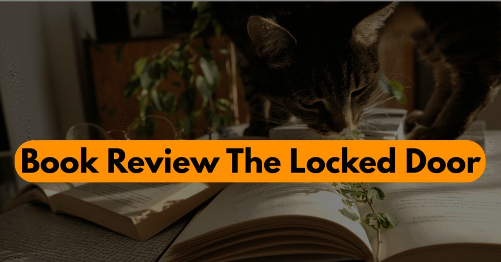 Unveil the Summer: The Best Summer I Turned Pretty Review